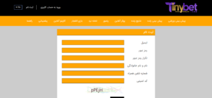 راهنمای کامل ثبت نام در تاینی بت